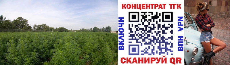 Дистиллят ТГК гашишное масло  Купить  Нариманов 