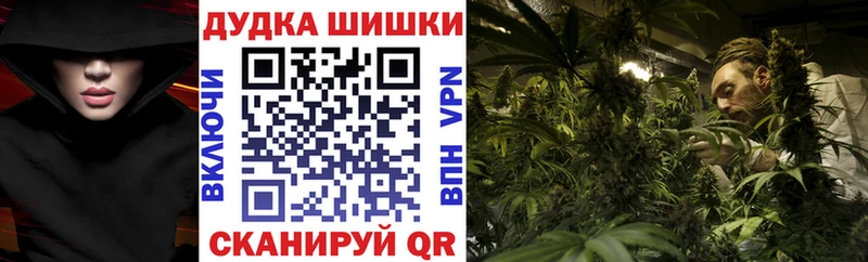 Шишки марихуана THC 21%  Купить где  Нариманов 